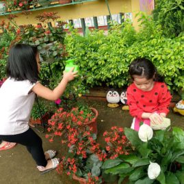 Bảng tra cứu lượng nước cần thiết khi chăm sóc cây cảnh mới để bàn uy tín chất lượng