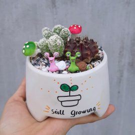 Tiểu cảnh để bàn Khu Vườn Ốc Sên