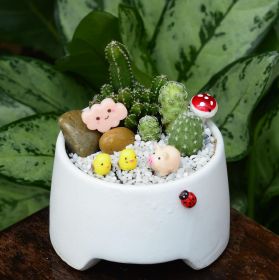 Cây hải đường