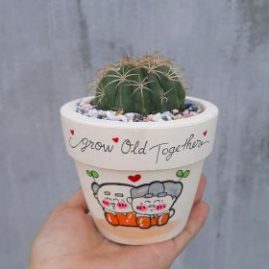 Tiểu cảnh để bàn Melo